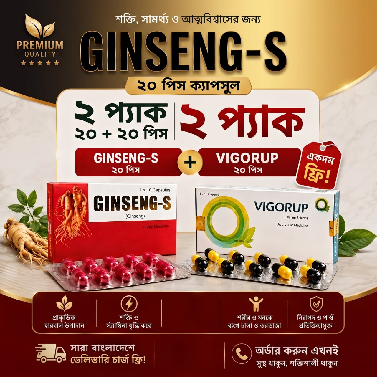 GinsVigo Bundle